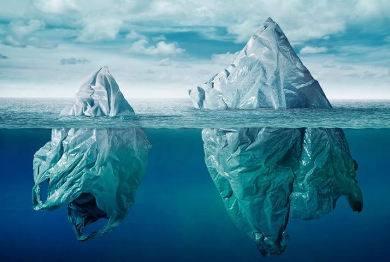 mares-sin-plastico