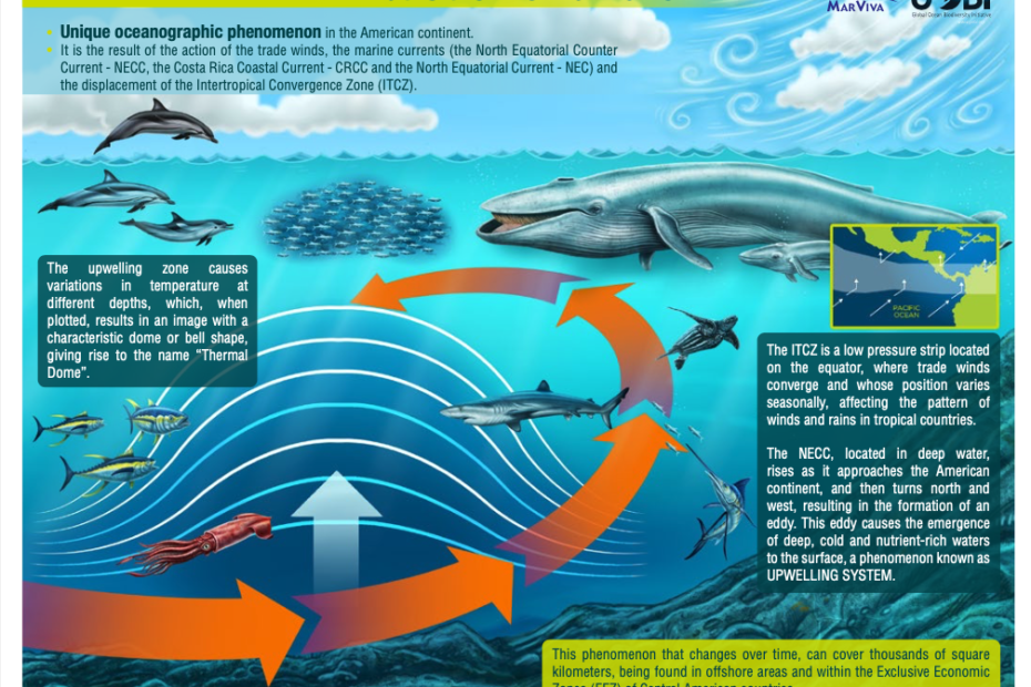 Infographic: What is the Thermal Dome?